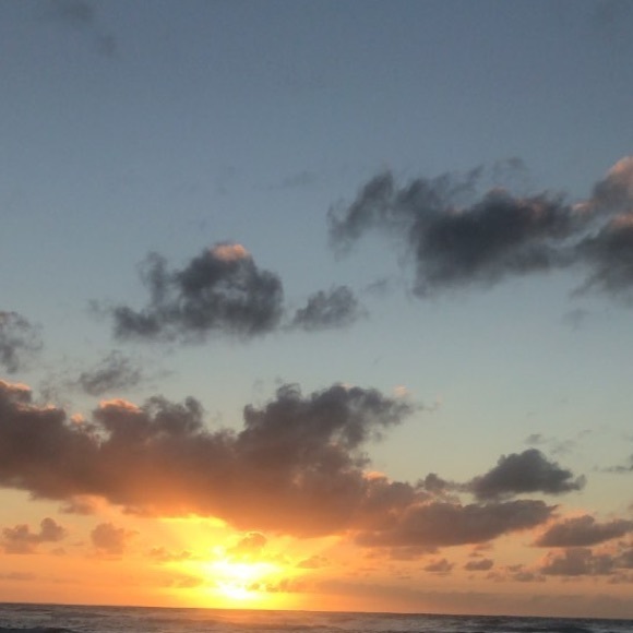 Meet your Posher, Katelyn - Picture 1 of 1